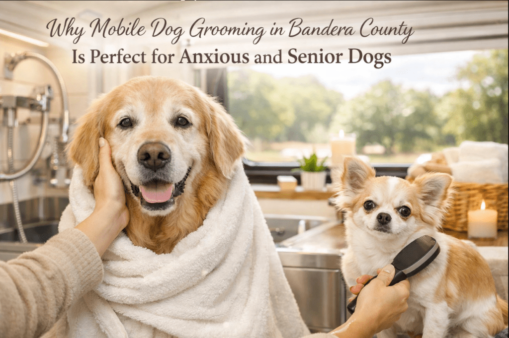 Why Mobile Dog Grooming in Bandera County Is Perfect for Anxious and Senior&nbsp;Dogs